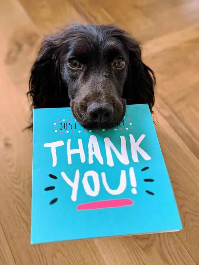 Dog holding a thank you card in it's mouth