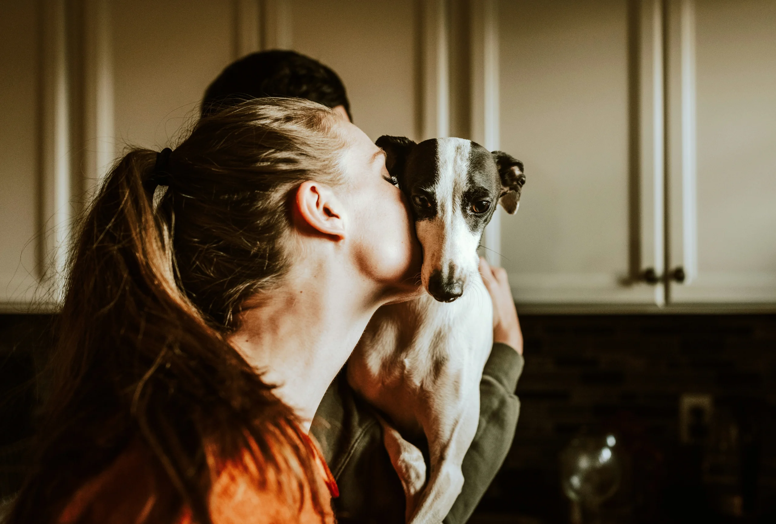 A person kisses a dog on the cheek inside a kitchen.